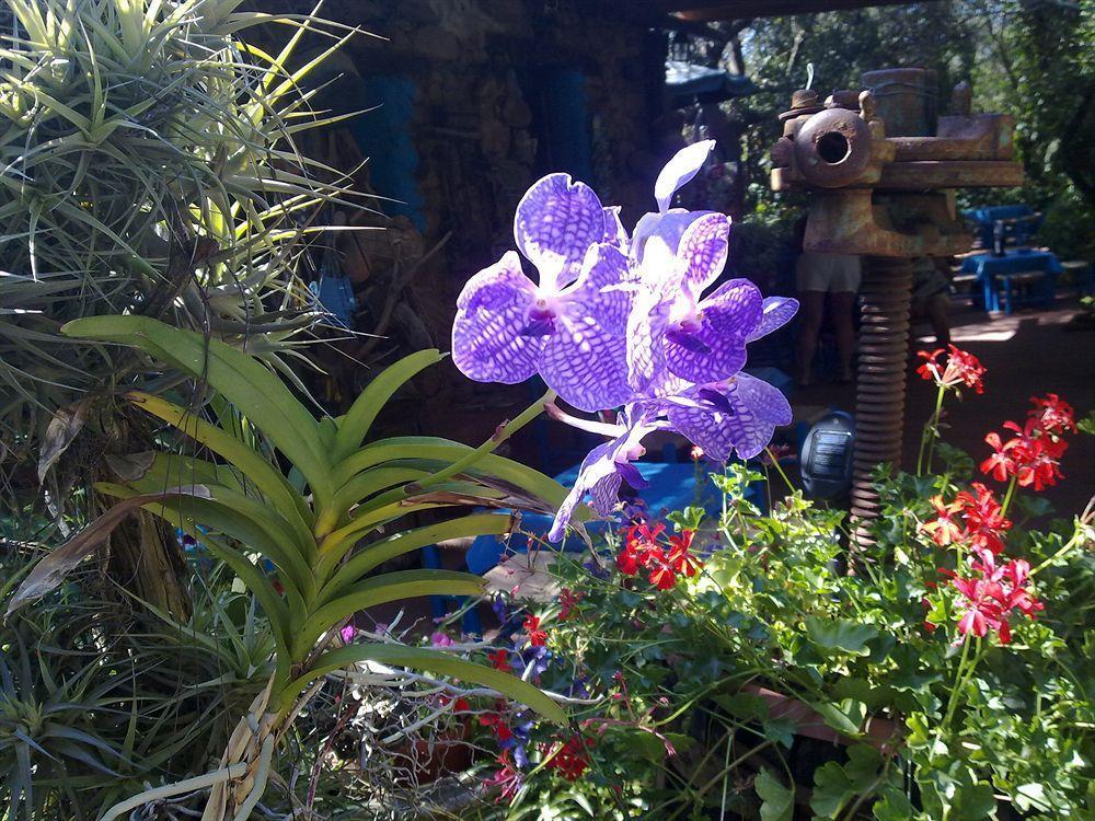 La Locanda Del Mare B&B La Caletta Esterno foto